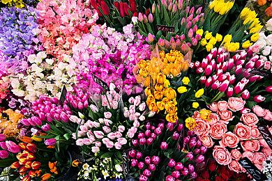 生存恐怖游戏《Liminal Point》Steam页面开放 明年发售